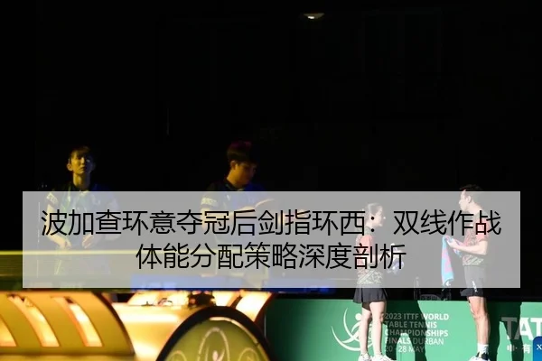 bo-jia-cha-huan-yi-duo-guan-hou-jian-zhi-huan-xi-shuang-xian-zuo-zhan-ti-neng-fen-pei-ce-lve-shen-du-pou-xi-2-595.jpg